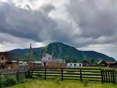 АлтайГруша - 0