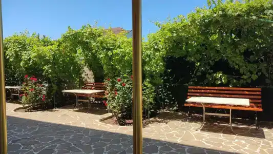 Виктория - 38