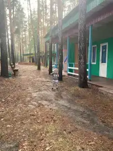 Сура - 55