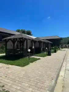 Кипарис - 43