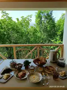 Пение птиц - 13