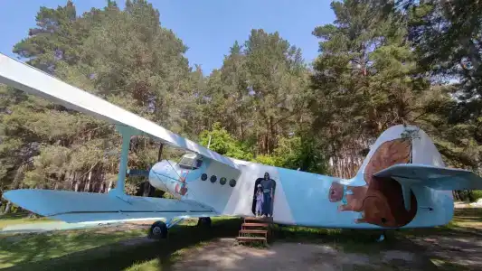 Тайга - 7