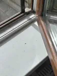 Баньки на Первом - 12