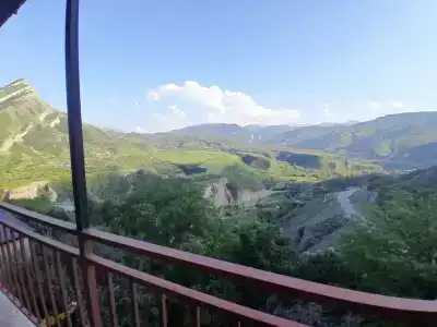 Пение птиц - 84