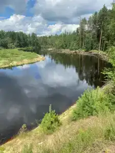 В гостях у Лешего - 1