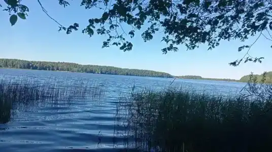 Турстоянка Ровненький борок - 27