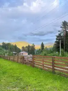Теле - 10