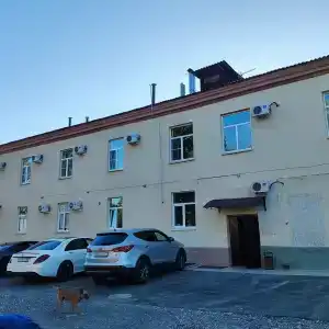 Медэя - 38