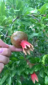 Под крепостью - 22