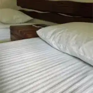 Гуси-Лебеди - 66