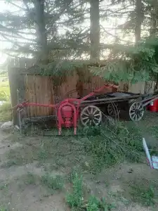 Живица - 32