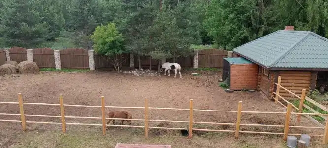 Сокольский Бор - 3