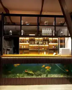 Золотая вилка - 4