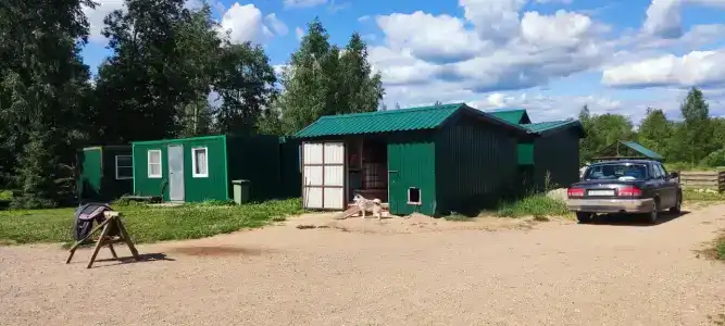 Лошадкино - 13