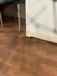 Быстрянский Лиман - 87