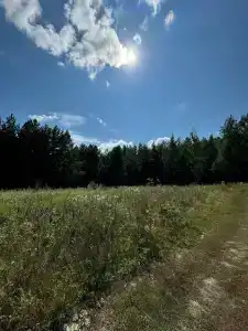 База отдыха и рыбалки Краснополье - 10