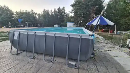 Дон - 31