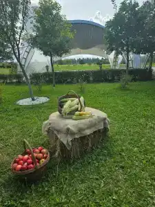 Елизарово - 95