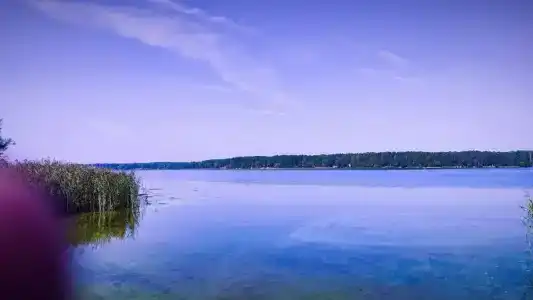 Волна - 29