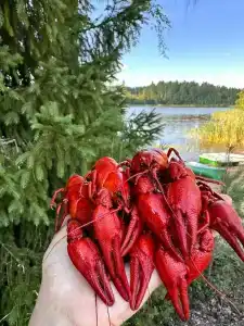 Хутор Еговик - 12