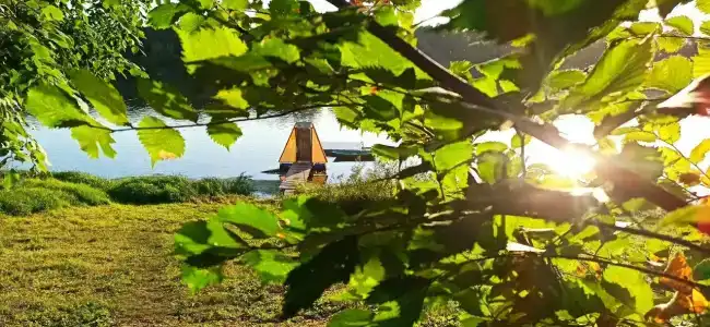 Пчелинцево - 35