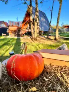 Ильинка лес - 18