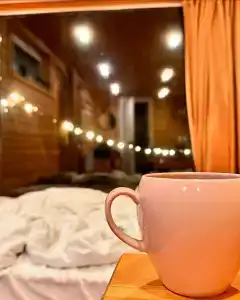 Лесной Привал - 81