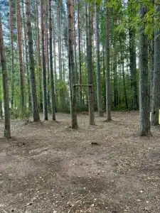 Бухта желтая - 17