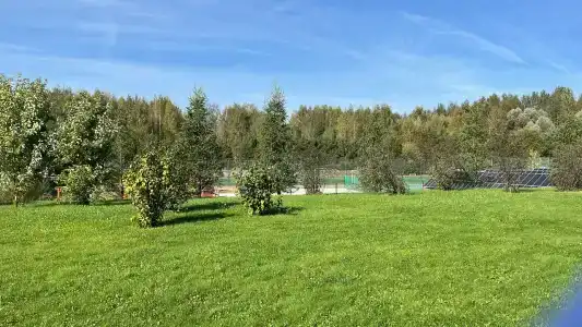Лисья нора - 34