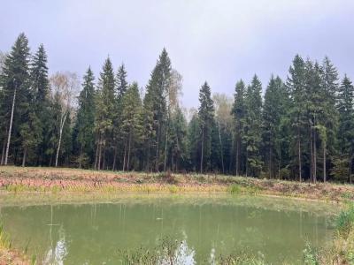 Голицын Клуб - 93