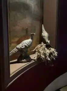 Кронон Парк - 55