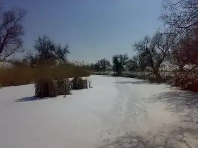 Парк Киммерия - 44