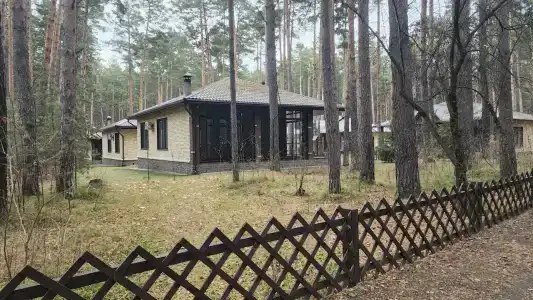 Дружба - 13