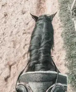 Храброво - 30