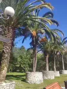 Приморский корпус - 19