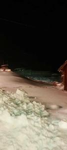 Длинный берег - 50