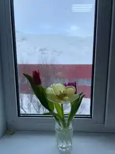 Норд Пилигрим - 21