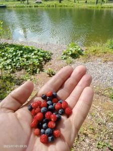 Гранд Усадьба - 27