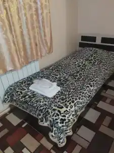 Фламинго - 51