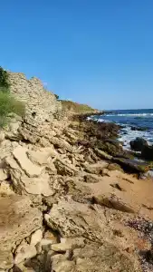 Замок грез - 80