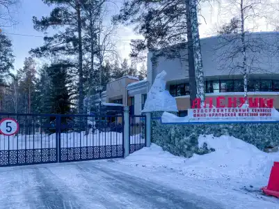 Аленушка - 90