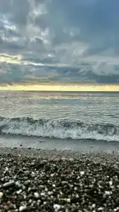 Дача Доктора Штейнгольца - 14