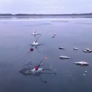 Дом рыбака - 5
