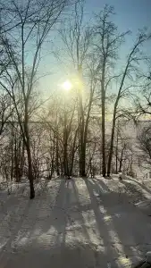 Лесное озеро - 86