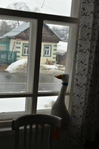Мам, я на Волге! - 28