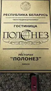 Полонез - 11