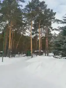 Мечетлинский - 43