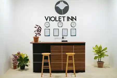 Violet Inn - 3