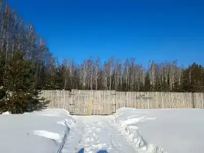 База отдыха на опушке - 24