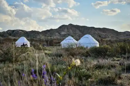 Feel Nomad Yurt Camp - 6